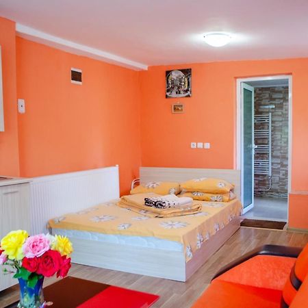 Danailovi Guest House Sapareva Banya Bagian luar foto