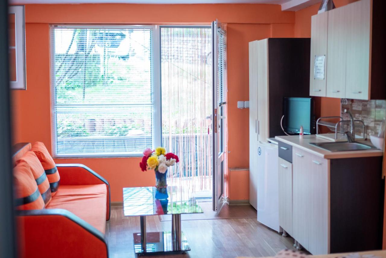 Danailovi Guest House Sapareva Banya Bagian luar foto
