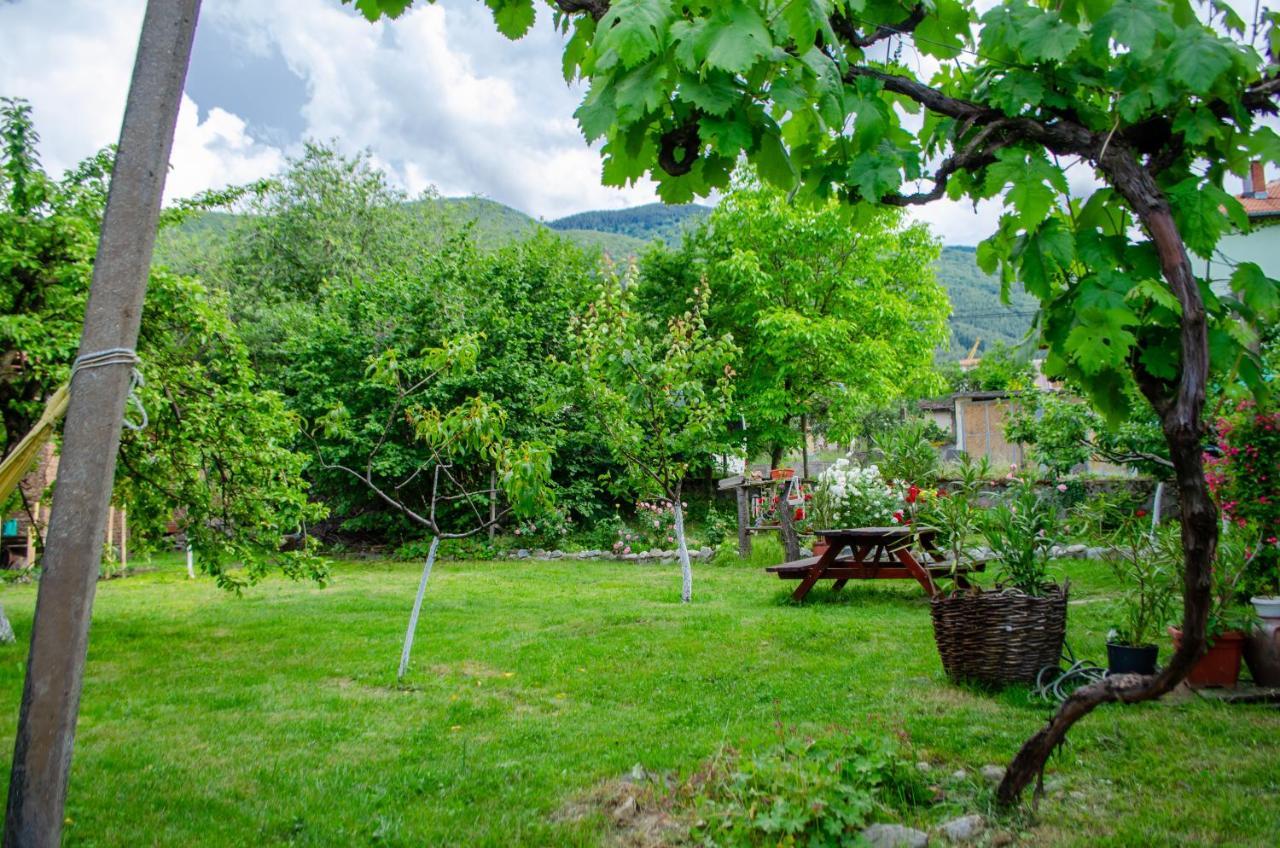 Danailovi Guest House Sapareva Banya Bagian luar foto