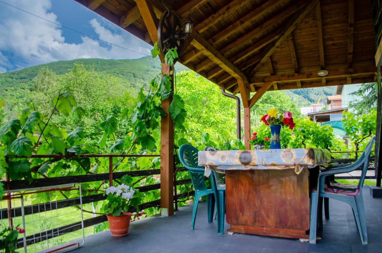Danailovi Guest House Sapareva Banya Bagian luar foto